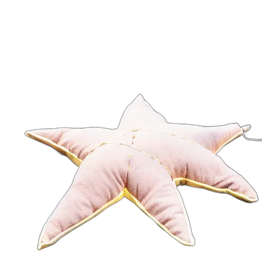 creature, animal, food, staff transparent PNG cut-out