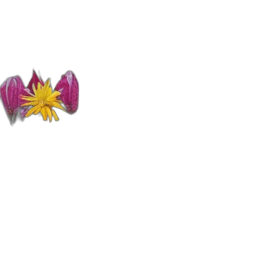 flower, crown, jewelry, weapon transparent PNG cut-out