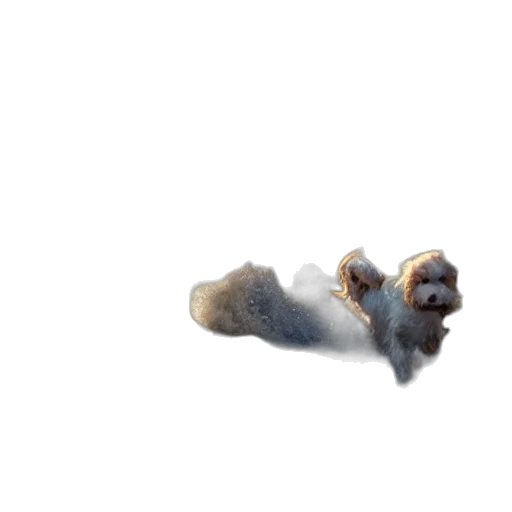 animal, creature, staff, hair, photorealistic, concept art, 3d render, pixel art transparent PNG cut-out
