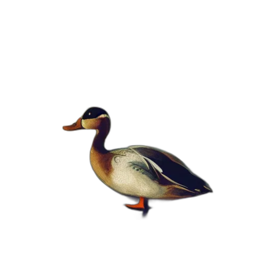 animal, creature, food, staff transparent PNG cut-out