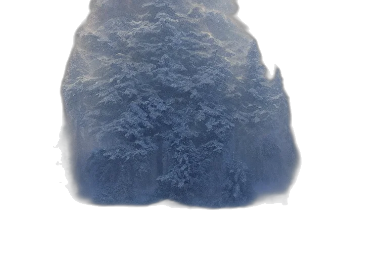 hair, crown, tree, hat, 3d render, photorealistic, fog, snow transparent PNG cut-out