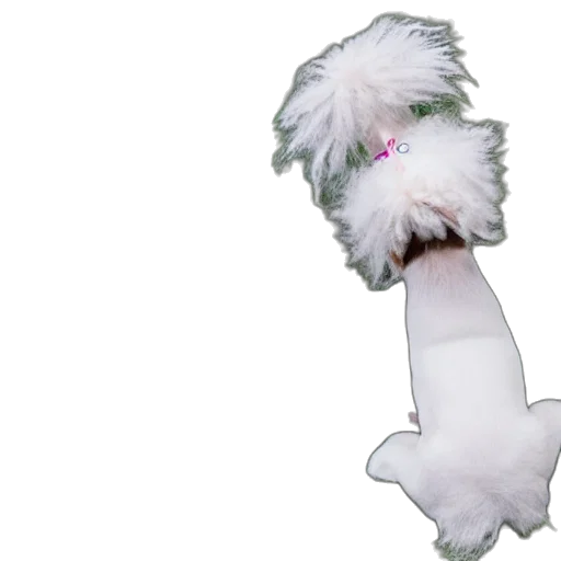 staff, animal, creature, hair, 3d render, photorealistic, concept art, bad transparent PNG cut-out