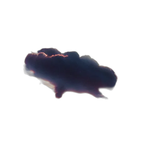 dragon, creature, crown, animal, 3d render, photorealistic, concept art, vaporwave transparent PNG cut-out