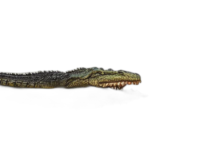 dragon, animal, creature, staff, 3d render, photorealistic, full, head transparent PNG cut-out