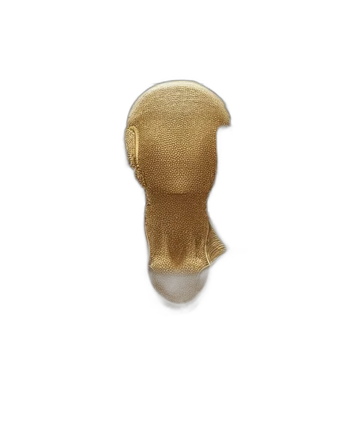 mask, crown, hat, jewelry transparent PNG cut-out