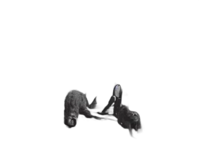 shoes, car, animal, hair, photorealistic, pencil sketch, concept art, 3d render transparent PNG cut-out
