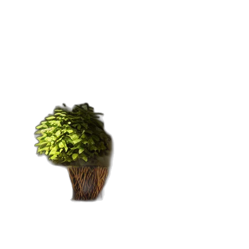hair, crown, hat, tree, 3d render, photorealistic, pixel art, concept art transparent PNG cut-out
