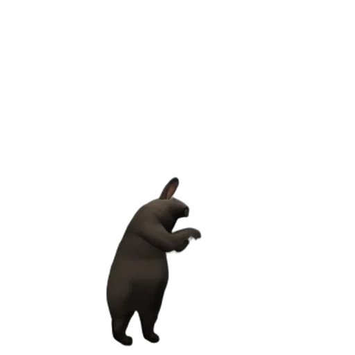 animal, creature, hat, staff transparent PNG cut-out