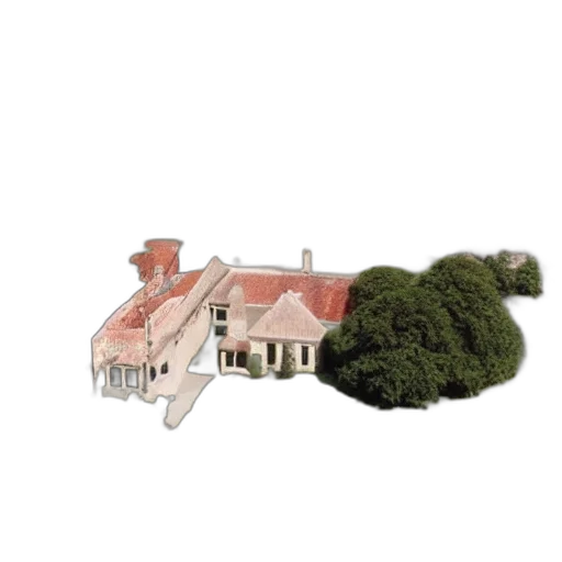 building, tree, crown, hair transparent PNG cut-out