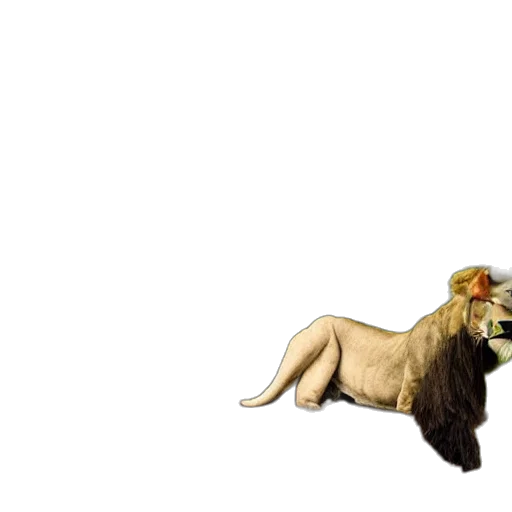 animal, crown, creature, hair, concept art, fantasy art, 3d render, photorealistic transparent PNG cut-out