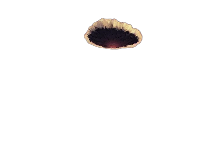 crown, hat, food, hair, photorealistic, 3d render, concept art, pixel art transparent PNG cut-out