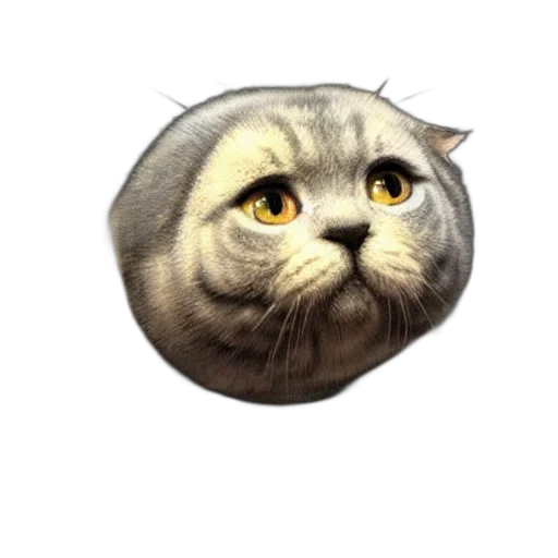 face, animal, hat, staff transparent PNG cut-out