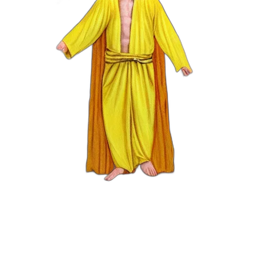 dress, staff, jacket, jewelry transparent PNG cut-out