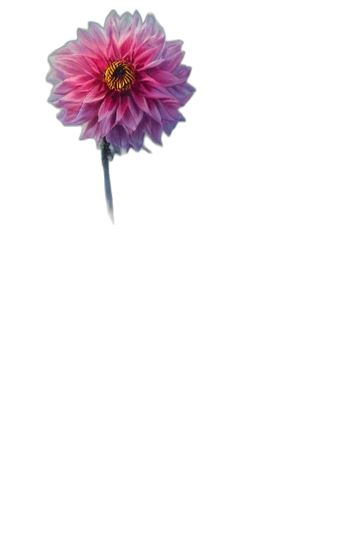 flower, crown, staff, umbrella, 3d render, photorealistic, pixel art, concept art transparent PNG cut-out