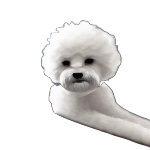 staff, animal, weapon, hair transparent PNG cut-out