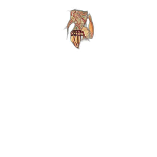 mask, creature, face, dragon, pixel art, concept art, fantasy art, photorealistic transparent PNG cut-out