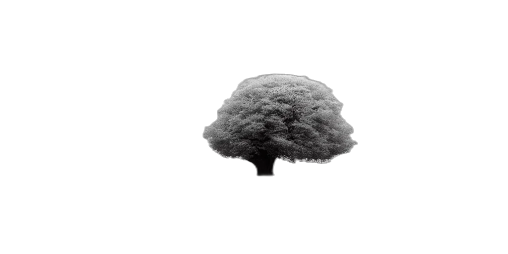 tree, hat, crown, umbrella, photorealistic, 3d render, concept art, pixel art transparent PNG cut-out