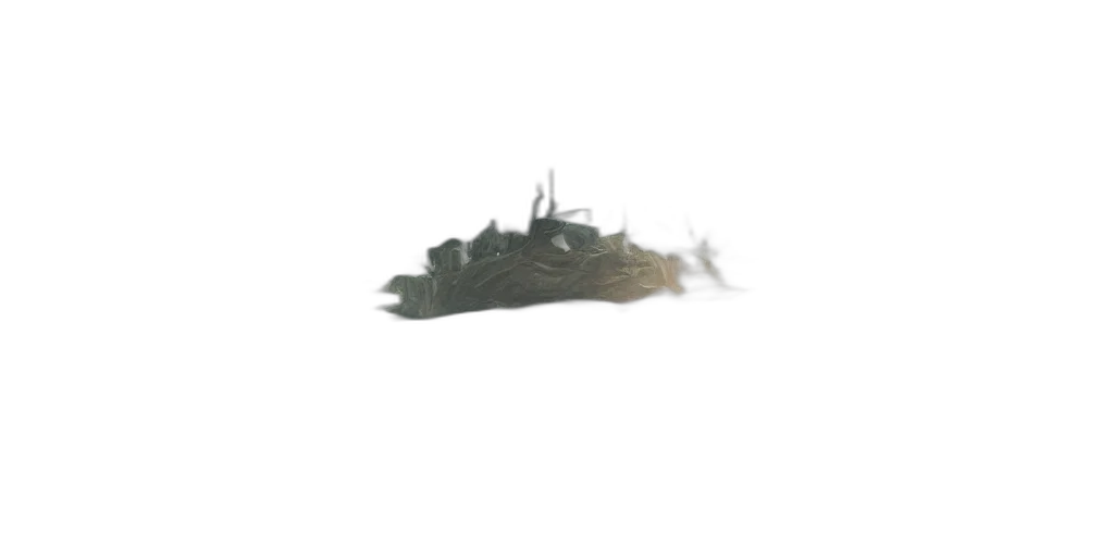dragon, hair, crown, creature, 3d render, concept art, photorealistic, pixel art transparent PNG cut-out