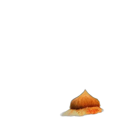 food, hat, hair, animal transparent PNG cut-out