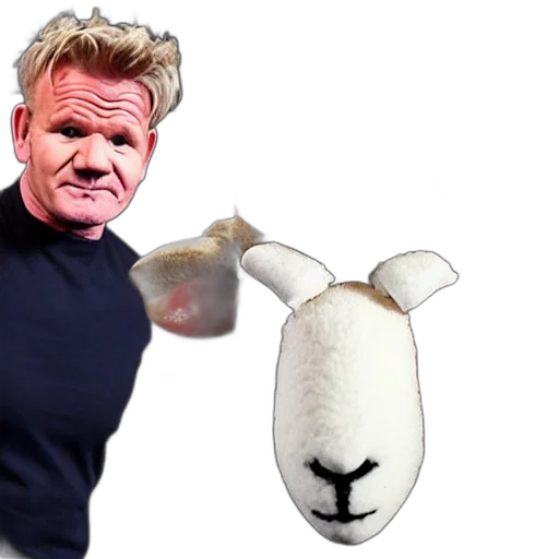 animal, creature, gordon, ramsay, face, sheep transparent PNG cut-out