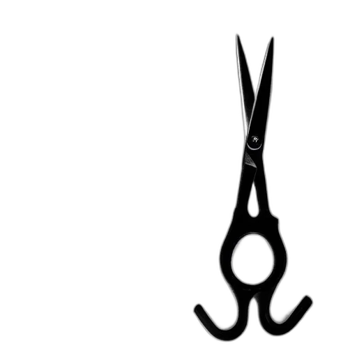 hair, staff, jewelry, crown transparent PNG cut-out