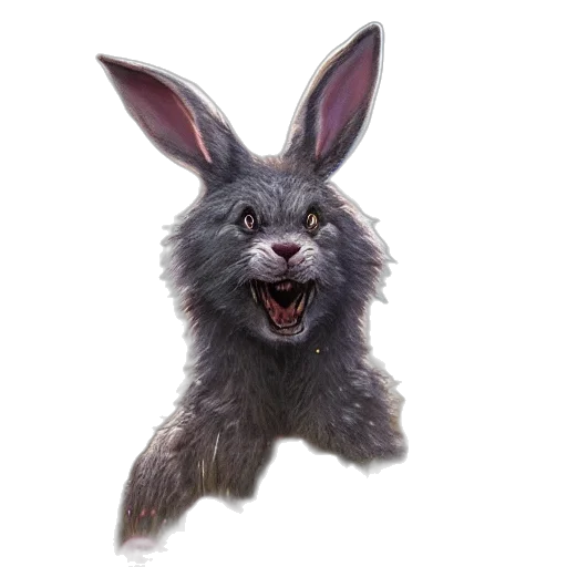 animal, creature, face, staff transparent PNG cut-out