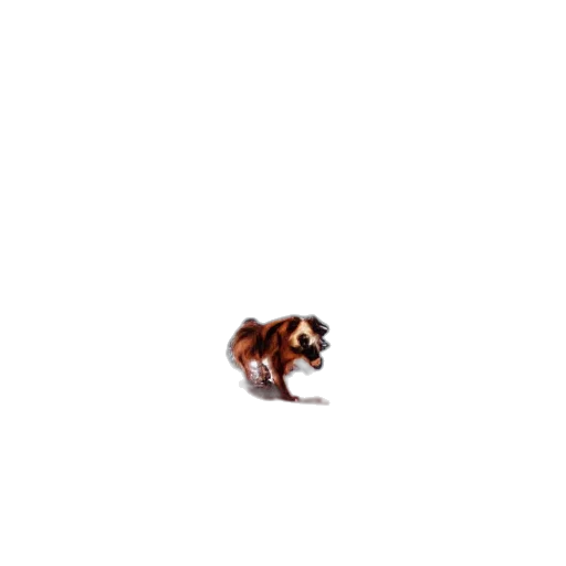 animal, creature, dragon, hair transparent PNG cut-out