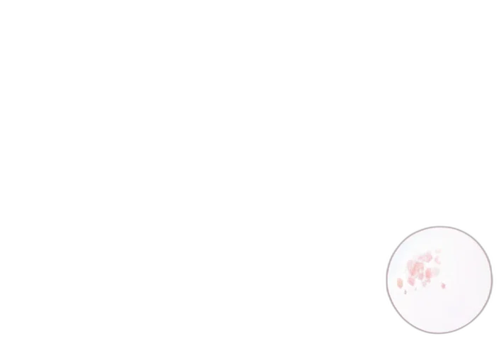 staff, food, hair, creature, concept art, outer space, pastel, monochrome transparent PNG cut-out