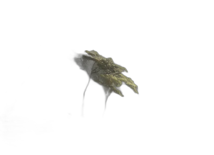 dragon, creature, animal, hair, 3d render, concept art, photorealistic, watercolor transparent PNG cut-out