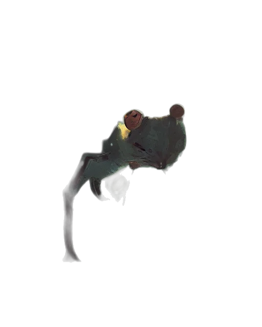 creature, hat, staff, dragon transparent PNG cut-out