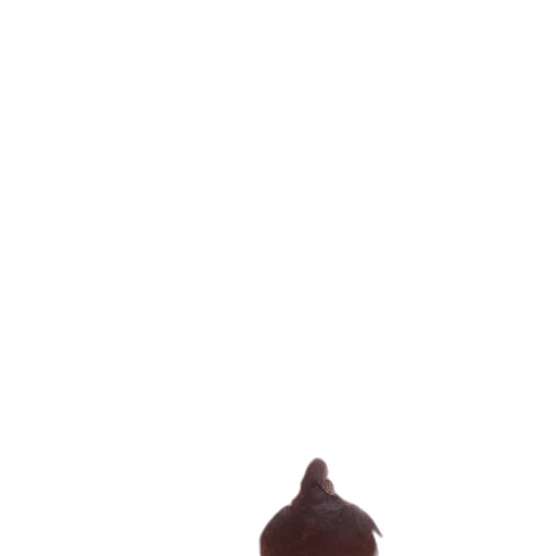 hat, animal, creature, jacket, 3d render, concept art, photorealistic, pixel art transparent PNG cut-out