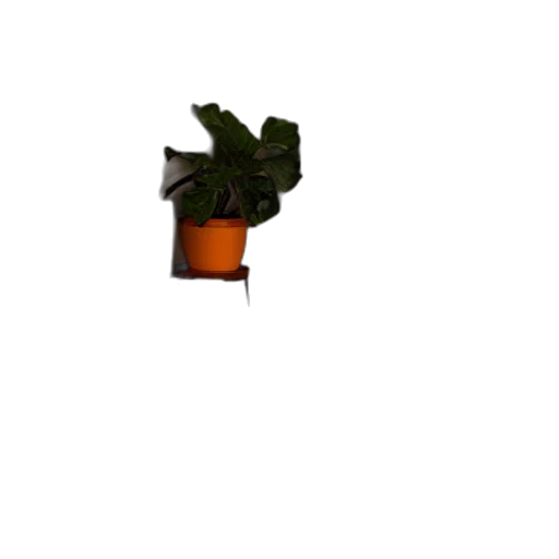flower, crown, tree, furniture, pixel art, 3d render, photorealistic, concept art transparent PNG cut-out