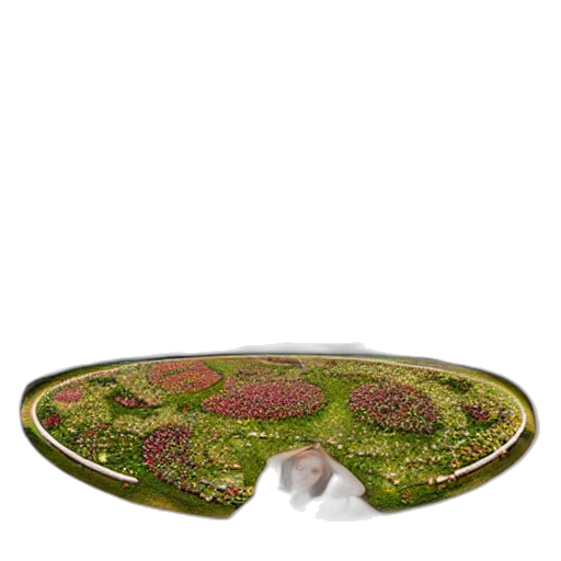 crown, jewelry, flower, furniture transparent PNG cut-out