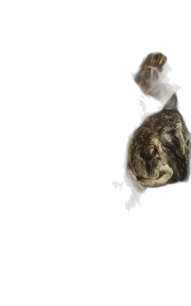 animal, hair, mask, creature transparent PNG cut-out