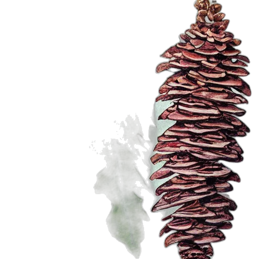 food, crown, hair, staff transparent PNG cut-out