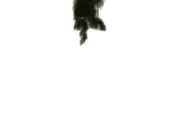 animal, creature, hair, dragon, 3d render, photorealistic, pixel art, concept art transparent PNG cut-out