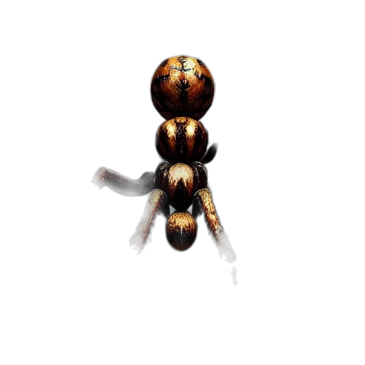 animal, staff, jewelry, creature transparent PNG cut-out
