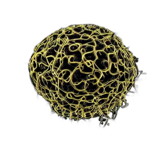 crown, hair, jewelry, hat, 3d render, neural, virus transparent PNG cut-out