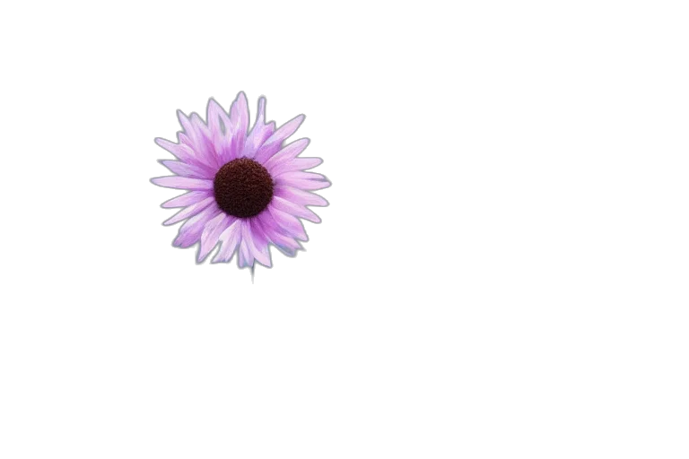 flower, crown, jewelry, weapon transparent PNG cut-out