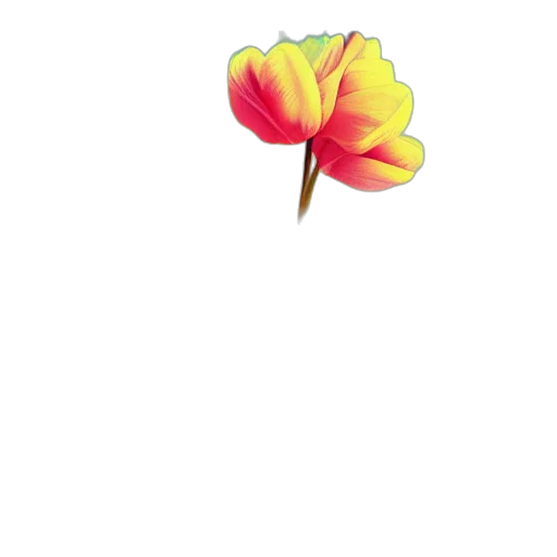flower, umbrella, staff, crown transparent PNG cut-out