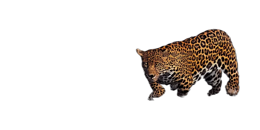 animal, creature, crown, jewelry, 3d render, pixel art, photorealistic, concept art transparent PNG cut-out