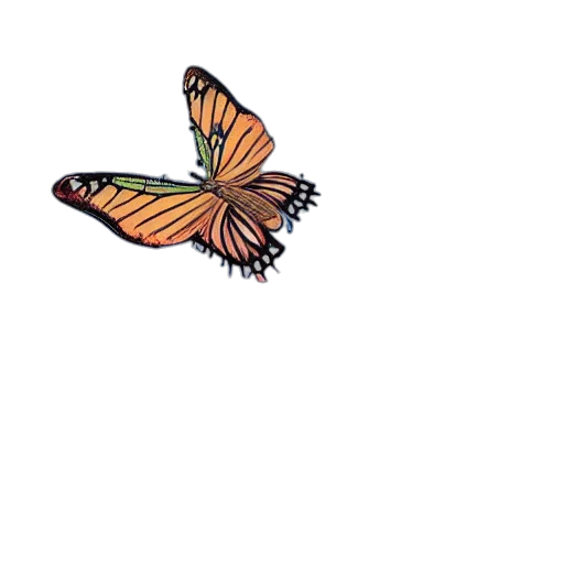 animal, creature, flower, dragon transparent PNG cut-out