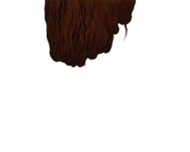 hair, mask, tree, crown transparent PNG cut-out