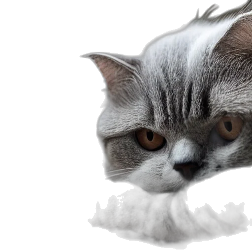 animal, creature, face, staff transparent PNG cut-out