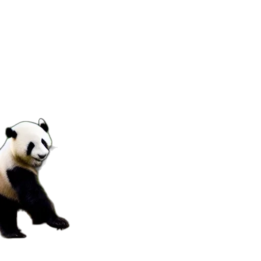 animal, creature, 3d render, concept art, pixel art, photorealistic, adorable, panda transparent PNG cut-out