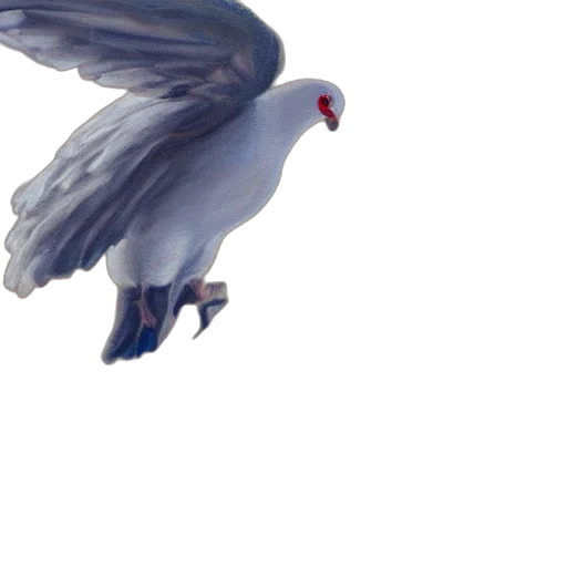 animal, creature, shoes, staff transparent PNG cut-out
