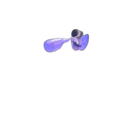 jewelry, umbrella, weapon, flower, 3d render, photorealistic, vaporwave, concept art transparent PNG cut-out