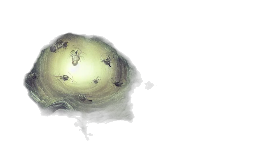 crown, creature, mask, weapon transparent PNG cut-out