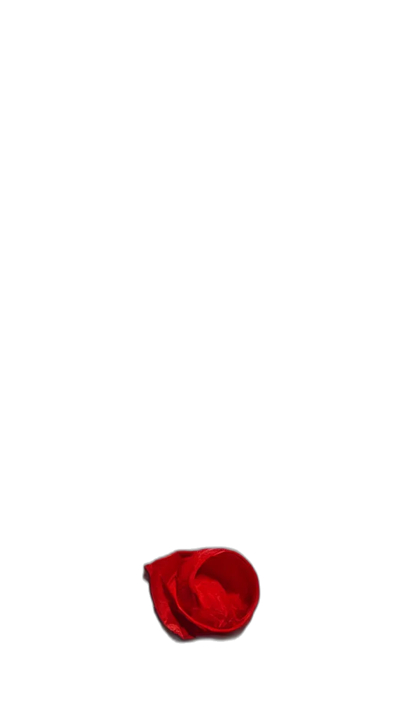 hat, crown, shoes, mask transparent PNG cut-out