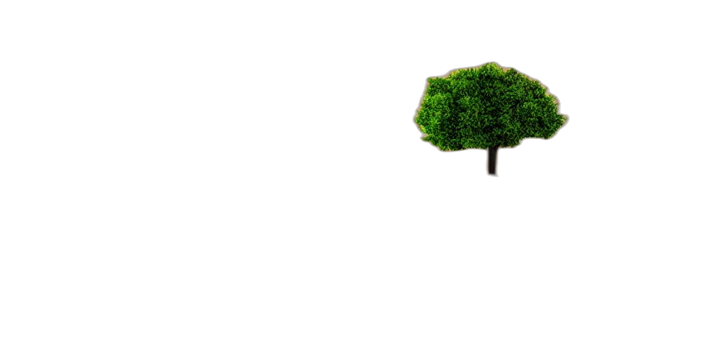tree, crown, hair, hat transparent PNG cut-out